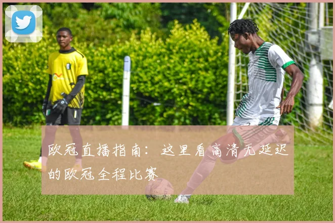 欧冠直播指南：这里看高清无延迟的欧冠全程比赛