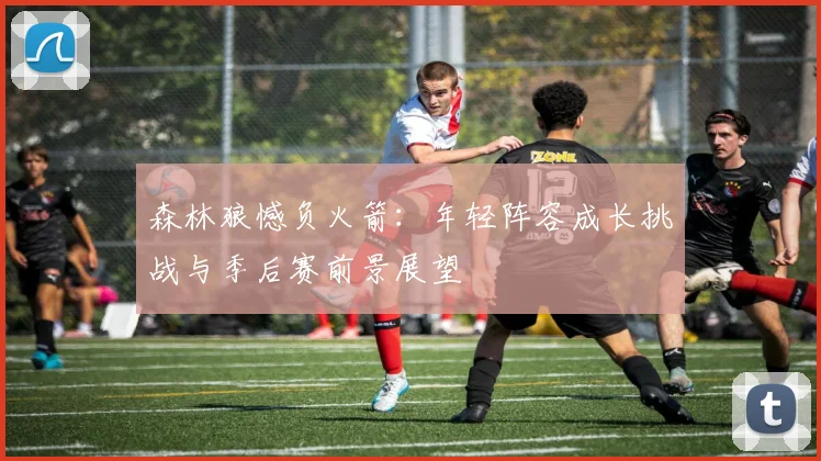 森林狼憾负火箭:年轻阵容成长挑战与季后赛前景展望