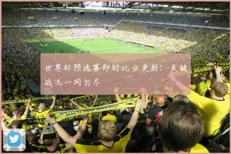 世界杯预选赛即时比分更新：关键战况一网打尽