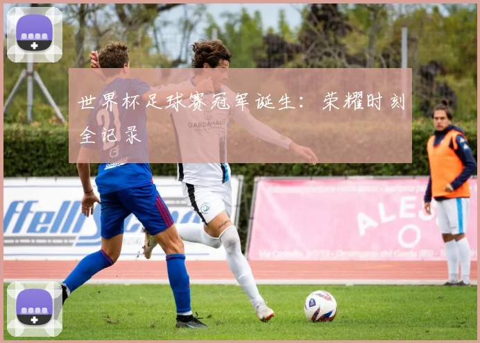 世界杯足球赛冠军诞生：荣耀时刻全记录