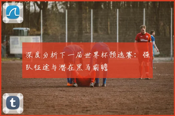 深度分析下一届世界杯预选赛：强队征途与潜在黑马前瞻
