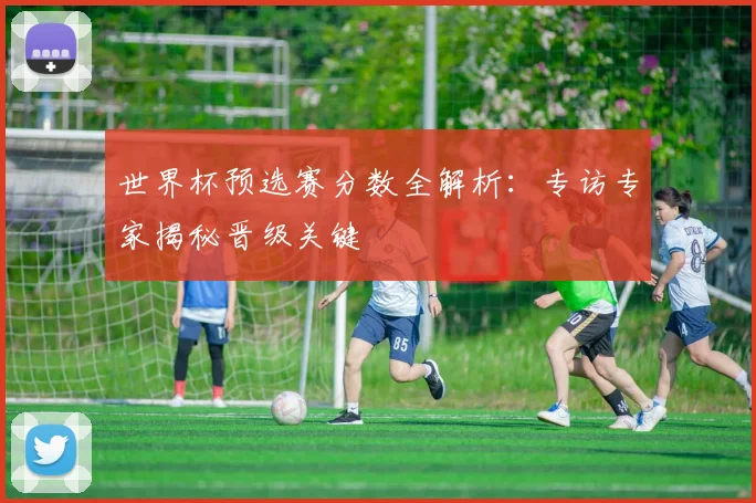 世界杯预选赛分数全解析：专访专家揭秘晋级关键