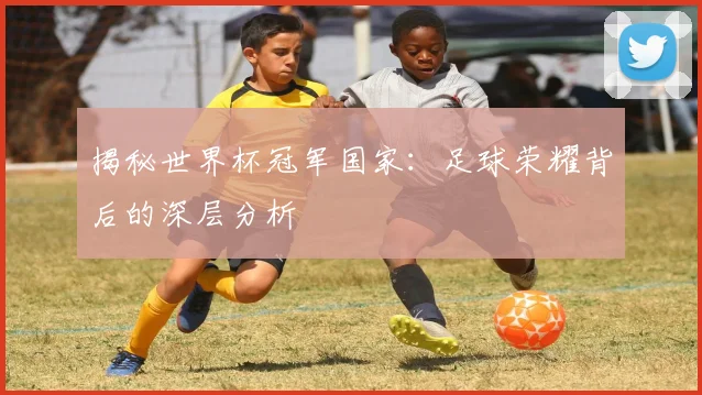 揭秘世界杯冠军国家：足球荣耀背后的深层分析