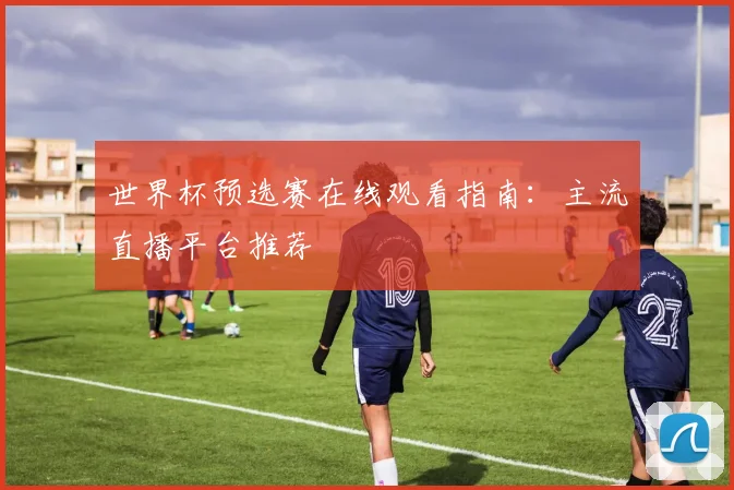 世界杯预选赛在线观看指南：主流直播平台推荐