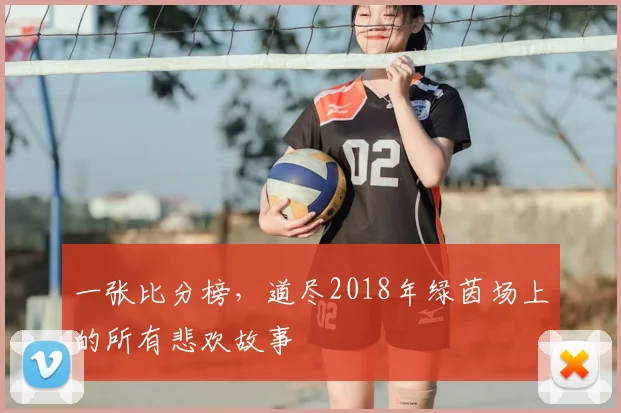 一张比分榜，道尽2018年绿茵场上的所有悲欢故事