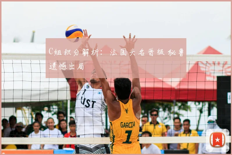 C组积分解析：法国头名晋级 秘鲁遗憾出局