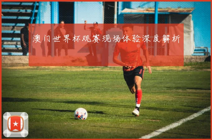 澳门世界杯观赛现场体验深度解析