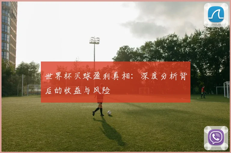世界杯买球盈利真相：深度分析背后的收益与风险