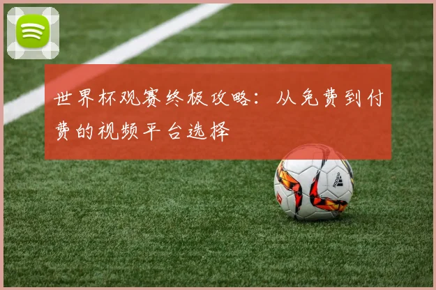 世界杯观赛终极攻略：从免费到付费的视频平台选择