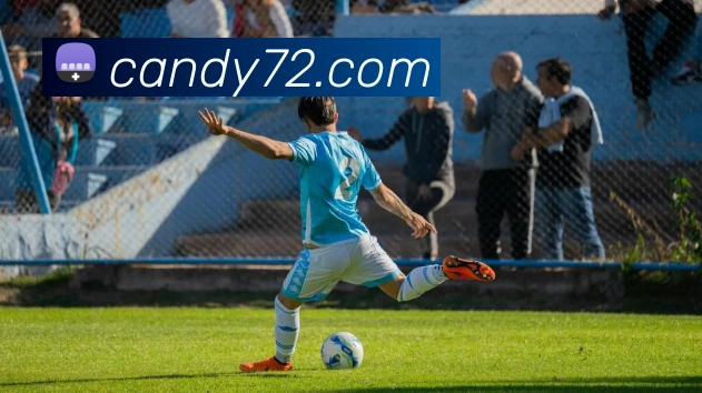 App Interface Preview